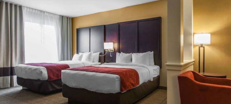 舒适套房酒店-扬斯敦北(Comfort Suites-Youngstown North)图片