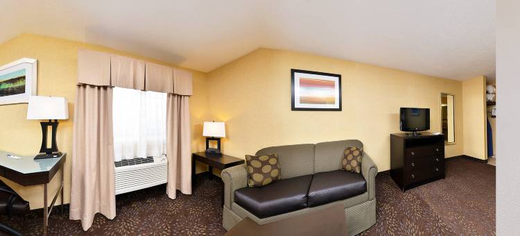 智选假日套房酒店夏洛特(Holiday Inn Express & Suites Charlotte)图片