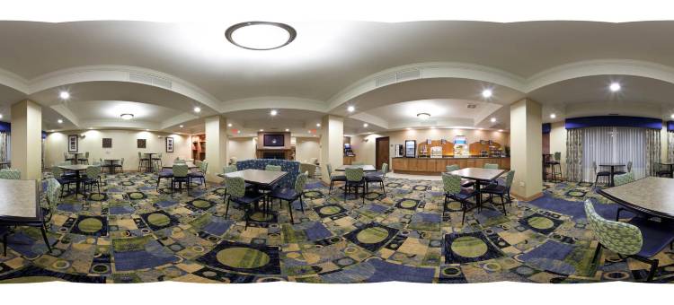 智选假日套房酒店芝加哥南兰辛(Holiday Inn Express & Suites Chicago South Lansing)图片