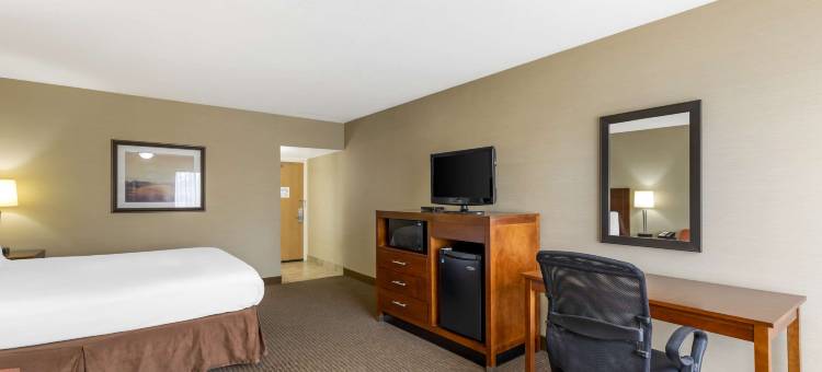 木棉树贝斯特韦斯特酒店(Best Western CottonTree Inn)图片
