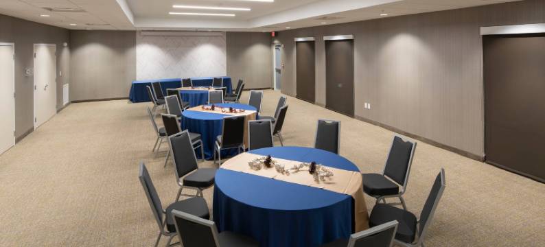 坦帕阳光海岸帕克威万豪SpringHill Suites酒店(SpringHill Suites Tampa Suncoast Parkway)图片