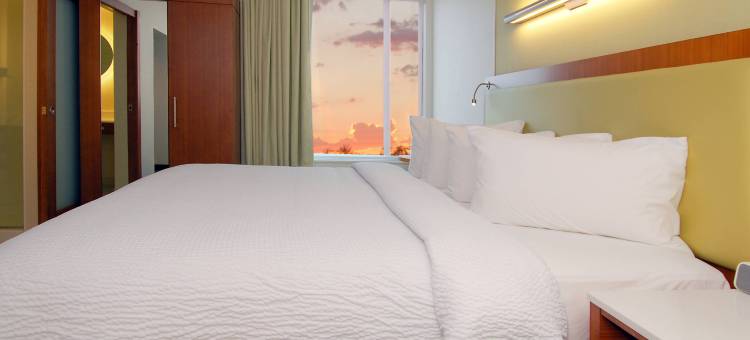 北拉斯维加斯赛道万豪SpringHill酒店(SpringHill Suites Las Vegas North Speedway)图片