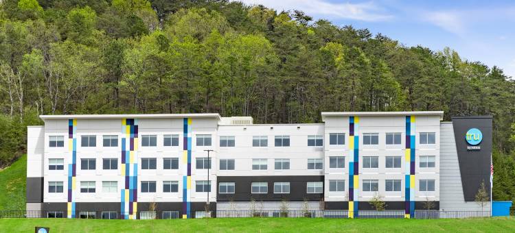 卡特斯维尔希尔顿特鲁酒店(Tru by Hilton Cartersville)图片