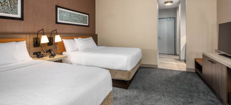 芝加哥中央环线希尔顿花园酒店-伊利诺伊州(Hilton Garden Inn Chicago Central Loop)图片