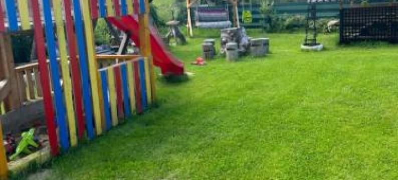 Pensiunea Poiana Dornei图片