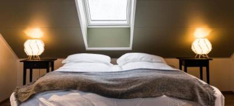 Scenic Penthouse - Ocean View & Skylight Windows图片