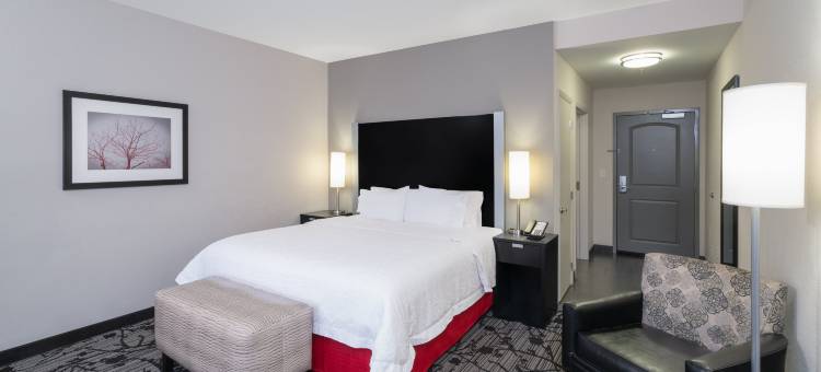 罗厄诺克机场/谷景购物中心欢朋套房酒店(Hampton Inn & Suites Roanoke Airport)图片