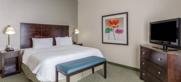 南里士满欢朋酒店(Hampton Inn Richmond-South)图片