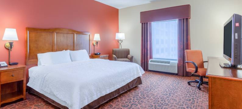 奥因斯米尔斯欢朋旅馆(Hampton Inn Baltimore/Owings Mills)图片