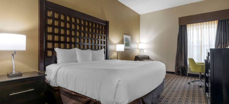 谢尔曼舒适酒店(Comfort Inn Sherman)图片