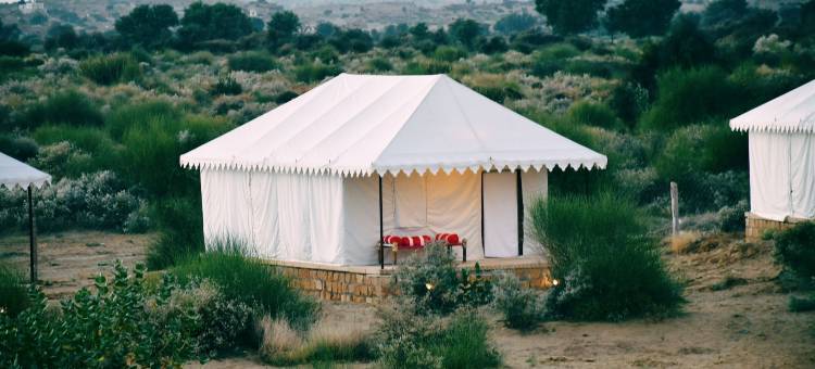 桑格朗沙漠露营酒店(Sangram Desert Camp)图片
