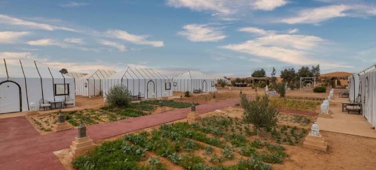 DWO金色营地梅尔祖卡(Dwo Golden Camp Merzouga)图片