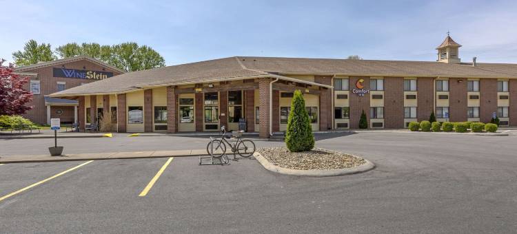 芒特弗农舒适酒店(Comfort Inn)图片