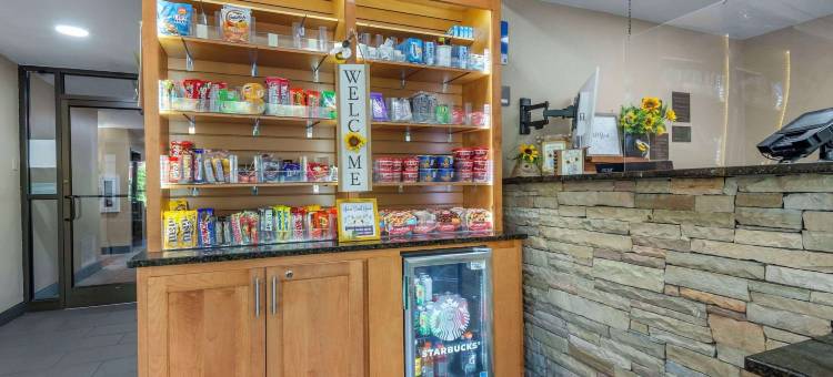 阿什维尔东-蓝岭山行车通道舒适酒店(Comfort Inn Asheville East-Blue Ridge Pkwy Access)图片