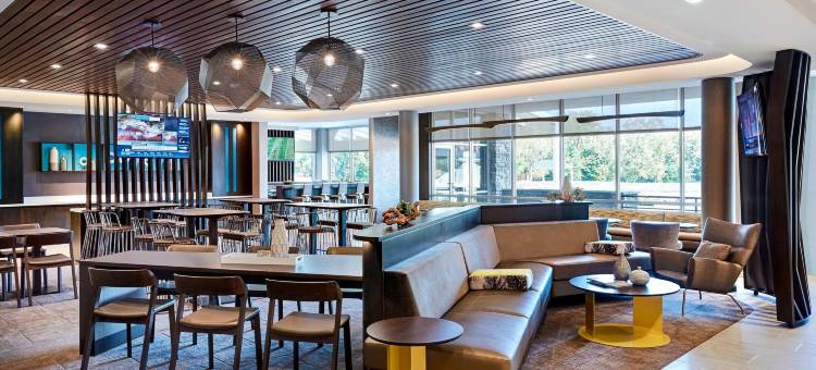 Marriott Austin North的SpringHill套房(SpringHill Suites by Marriott Austin North)图片