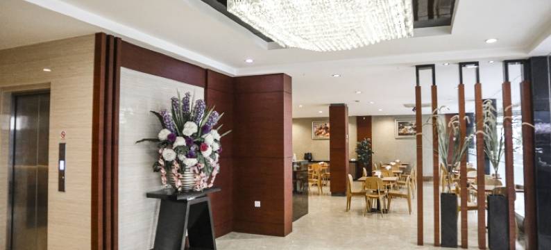 巴淡哈纳酒店(Hana Hotel)图片