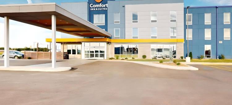 舒适酒店&套房US-60(Comfort Inn & Suites US-60)图片