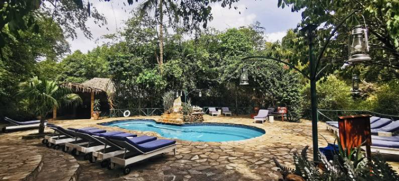 马赛马拉无花果树露营地酒店(Fig Tree Camp - Maasai Mara)图片