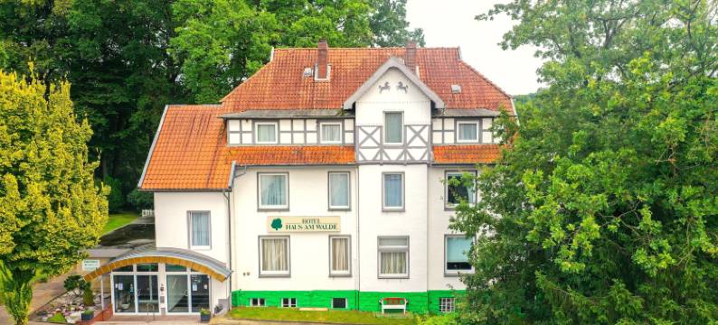 沃尔德酒店(Haus am Walde)图片