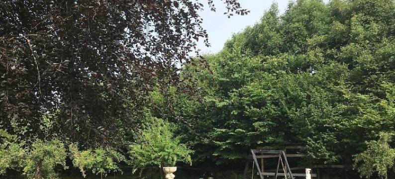 瑞因斯伦德住宿加早餐旅馆(Ringslund B&B)图片