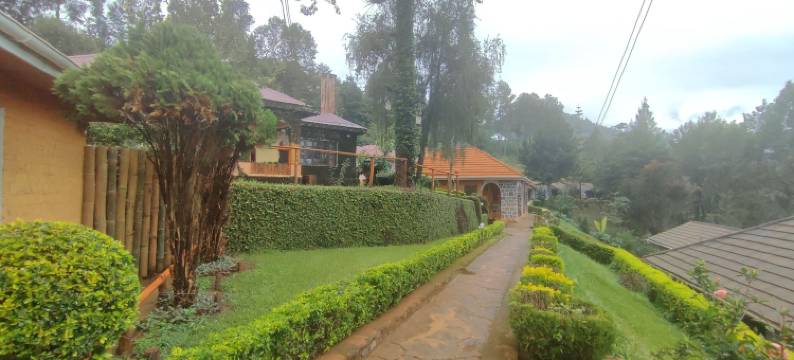 卢肖托行政旅馆(Lushoto Executive Lodge)图片