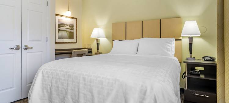 Candlewood Suites 雪花石膏(Candlewood Suites Alabaster)图片