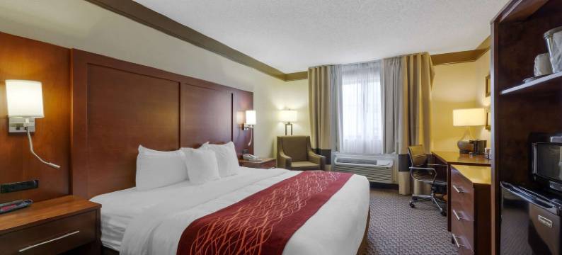 芒特弗农舒适酒店(Comfort Inn)图片