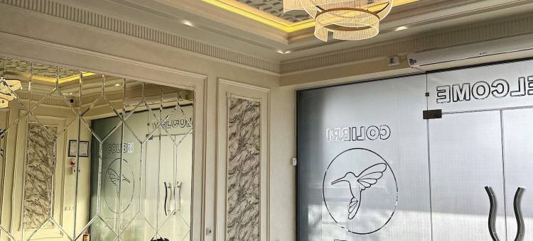 可丽布丽酒店(Colibri Hotel)图片