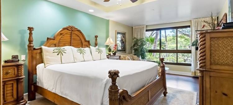 凯阿纳帕利阿里(Kaanapali Alii)图片