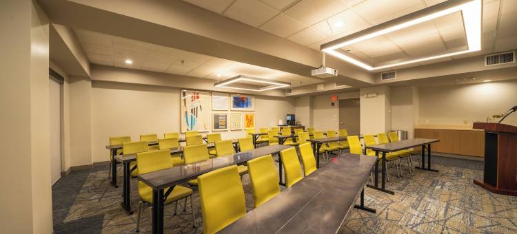坦帕奥尔兹马智选假日酒店及套房(Holiday Inn Express & Suites Tampa Northwest-Oldsmar)图片