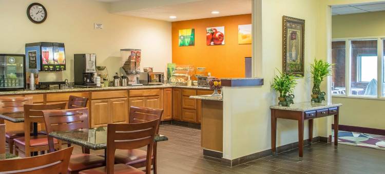 凯艺套房酒店(Quality Inn & Suites Bloomington I-55 and I-74)图片