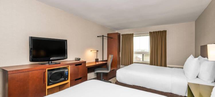 舒适酒店(Comfort Inn)图片