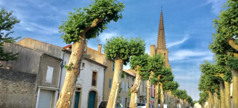 迷宫酒店(Hôte Labyrinthe Lit 180 cm Salle de Bain, Petit Dej Compris)图片