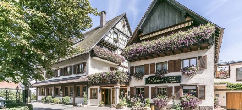 瑞伯斯道克兰登酒店(Hotel - Landgasthof Rebstock)图片