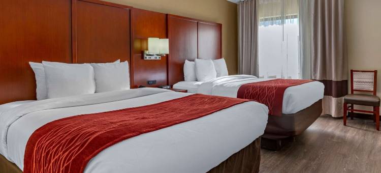 福特米尔舒适酒店 卡罗温兹大道游乐园(Comfort Inn Fort Mill Amusement Park at Carowinds Blvd)图片