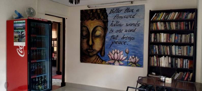 蜂巢青年旅舍(Beehive Hostel Kathmandu)图片