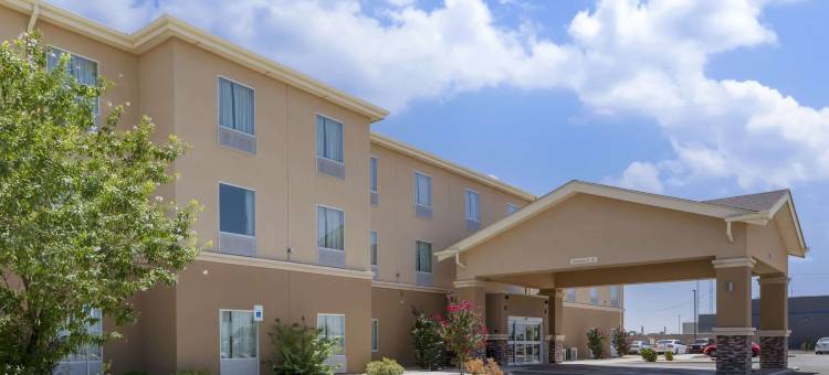 卡尔斯巴德洞穴区-品质酒店及套房(Quality Inn & Suites Carlsbad Caverns Area)图片