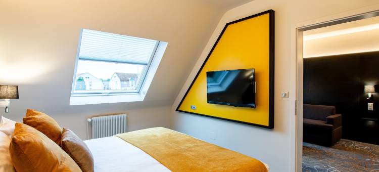 阿格诺欧洲 SPA 酒店(Europe Haguenau – Hotel & Spa)图片