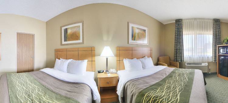 莫里斯I-80舒适酒店(Comfort Inn Morris I-80)图片