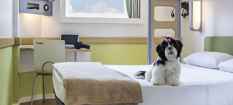 宜必思快捷图尔北部酒店(Ibis Budget Tours Nord)图片