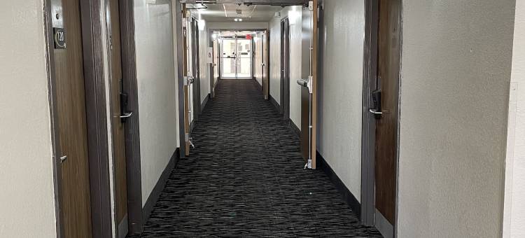 阿马里洛中心德克萨斯州温德姆速8酒店(Super 8 by Wyndham Amarillo Central TX)图片