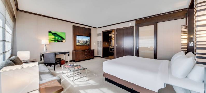 维达拉喷气奢华酒店(Jet Luxury at the Vdara)图片