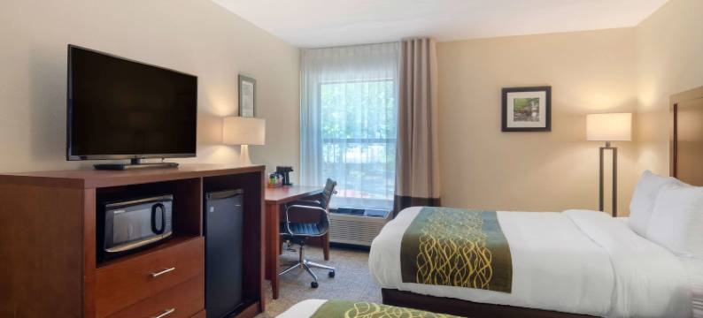 道格拉斯维尔舒适酒店(Comfort Inn Douglasville - Atlanta West)图片