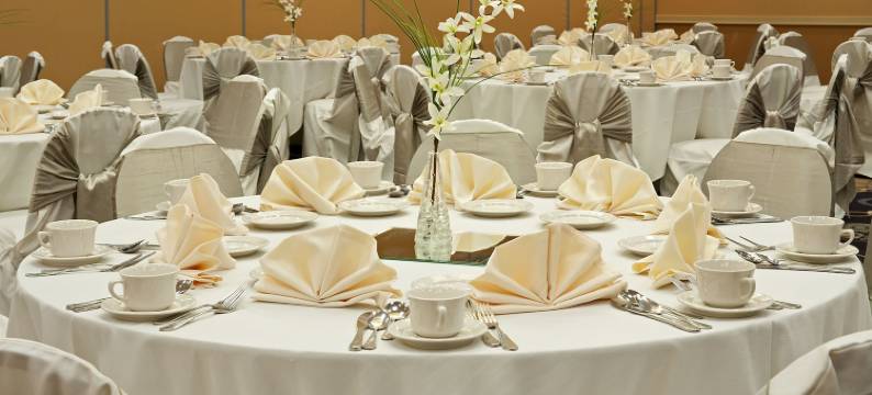 Grand Royal Hotel O'Hare - Chicago图片