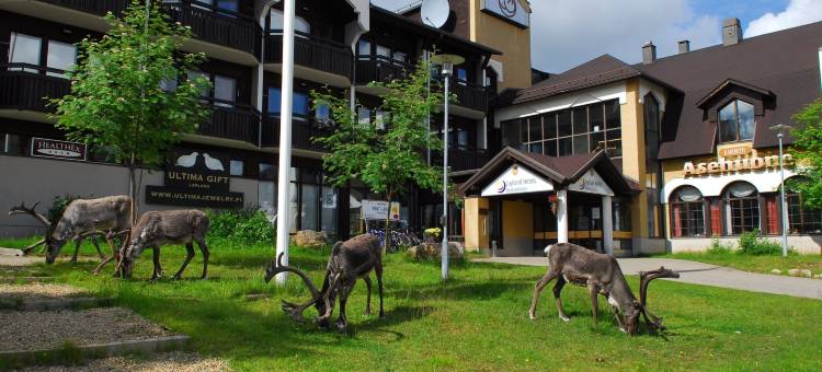 瑞肯林纳拉普兰酒店(Lapland Hotels Riekonlinna)图片