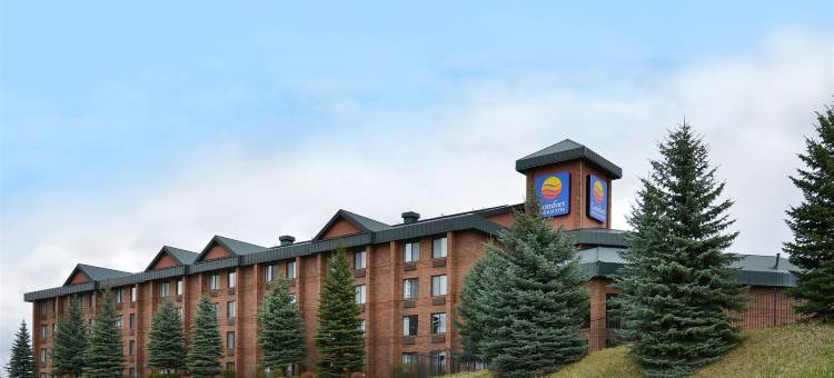 舒适套房酒店(Comfort Inn & Suites)图片