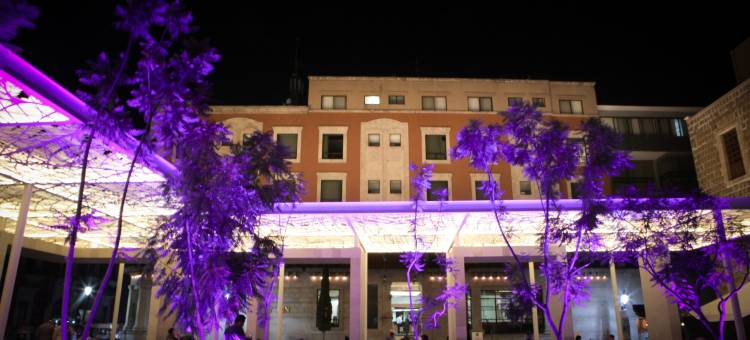 凯艺酒店-阿瓜斯卡连特斯(Hotel Quality Inn Aguascalientes)图片