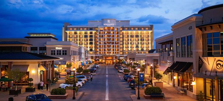 万丽罗利北山酒店(Renaissance Raleigh North Hills Hotel)图片