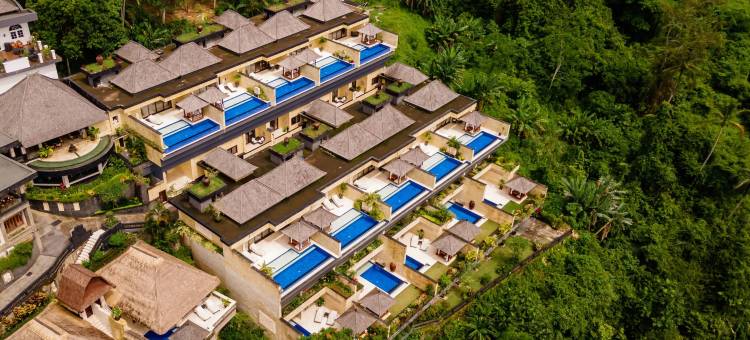 巴厘岛总督酒店(Viceroy Bali)图片