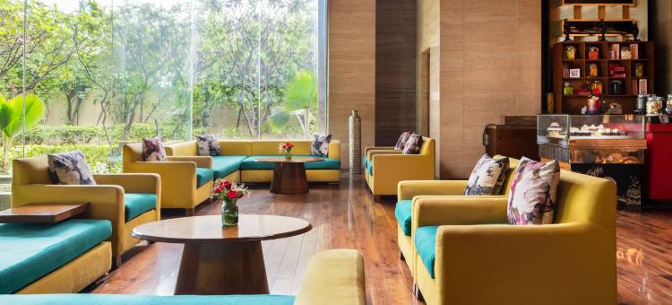 浦那Hyatt酒店(Hyatt Pune)图片